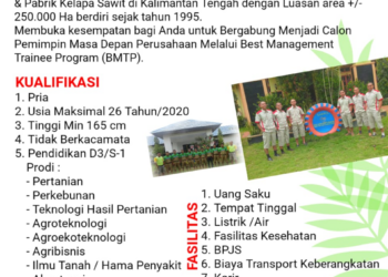 Loker di PT. Best Agro International