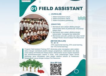 Peluang di First Resources – Jan 2025