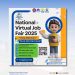 National Virtual Job Fair 2025