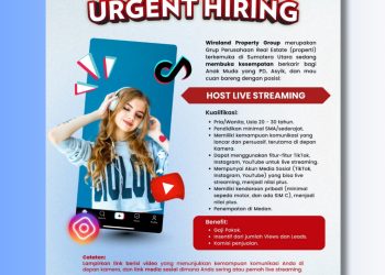 Wiraland is hiring ! – Sept 2025